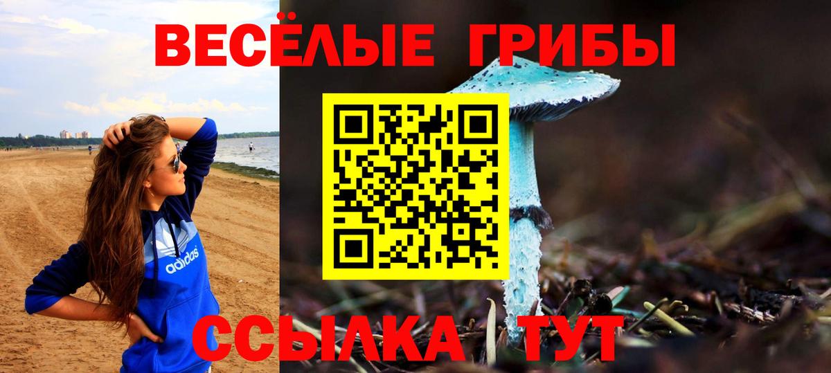 хочу   Псилоцибиновые грибы прущие грибы  Псилоцибиновые грибы Cubensis  Вход с VPN  Ртищево 